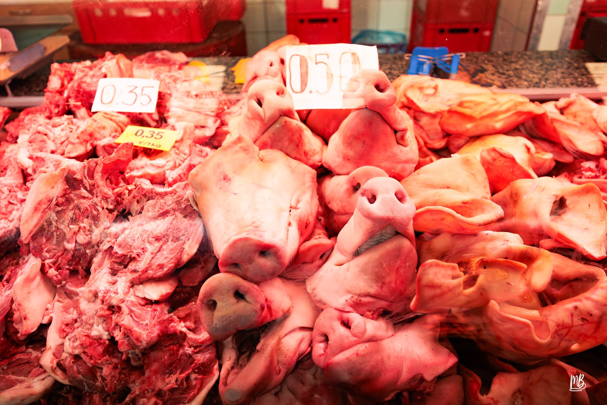 2024   Riga   MB 262